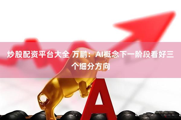 炒股配资平台大全 万鹏：AI概念下一阶段看好三个细分方向