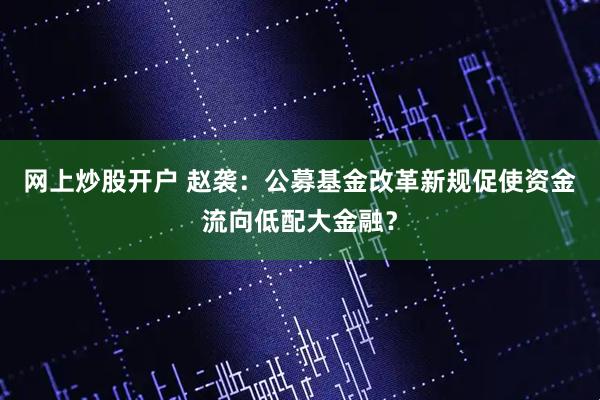 网上炒股开户 赵袭：公募基金改革新规促使资金流向低配大金融？